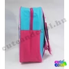Frozen Anna and Elsa small bag