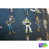 Toy Story ergonomic USB charge school bag set