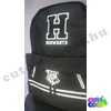 Harry Potter Hogwarts USB charge black school bag