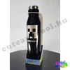 Minecraft black stainless steel water bottle