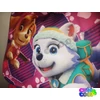 Paw Patrol Skye - Everest kids school bag