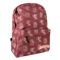 Harry Potter Gryffindor bag