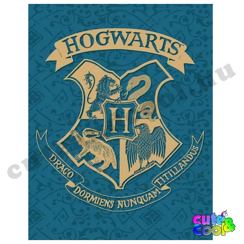 Harry Potter Hogwarts blue polar blanket