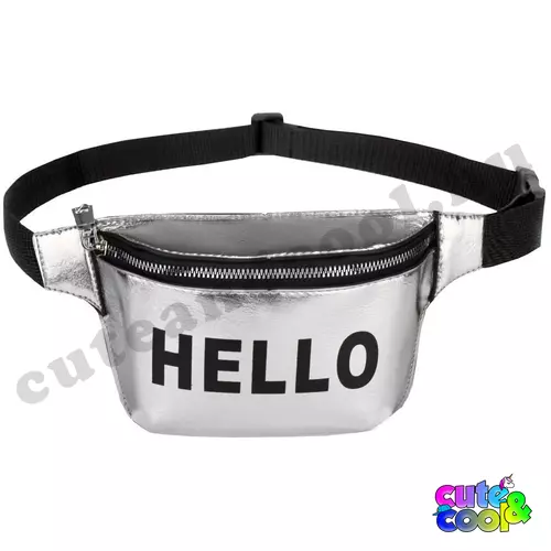 Silver belt bag