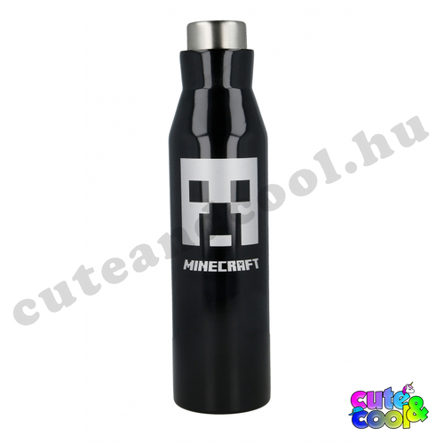 Minecraft black stainless steel water bottle