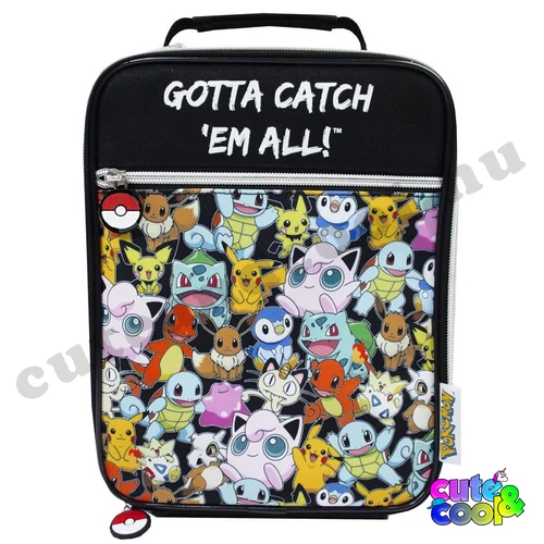 Pokemon lunch bag